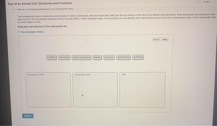 solved-4-of-4-tour-of-an-animal-cell-structures-and-chegg