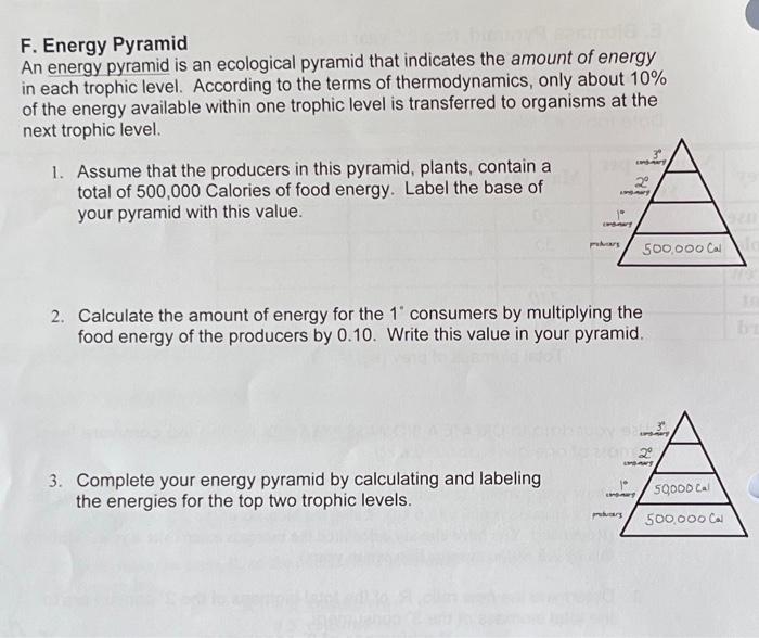 Solved F. Energy Pyramid An energy pyramid is an ecological | Chegg.com