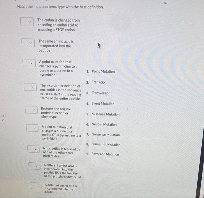 Solved Match the mutation term/type with the best | Chegg.com