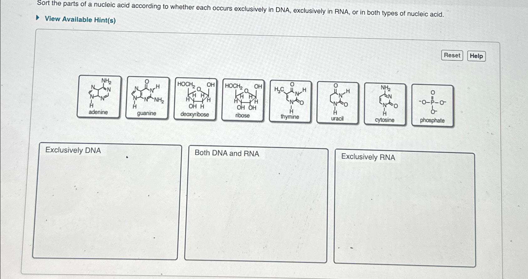 Solved Sort the parts of a nucleic acid according to whether