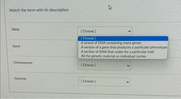 Solved Match the term with its description Allele Gene | Chegg.com