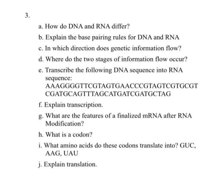 Solved 3. a. How do DNA and RNA differ? b. Explain the base | Chegg.com