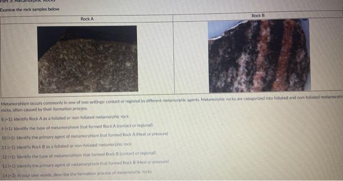 Solved Palt 3. MER Examine the rock samples below Rock B | Chegg.com