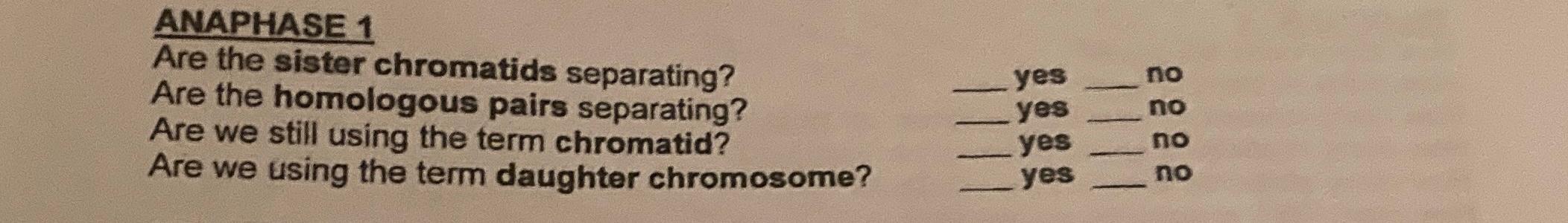 Solved ANAPHASE 1Are the sister chromatids separating? Are Biology Diagrams