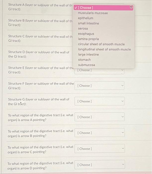 Solved Match each specific structure (on the left) to its | Chegg.com