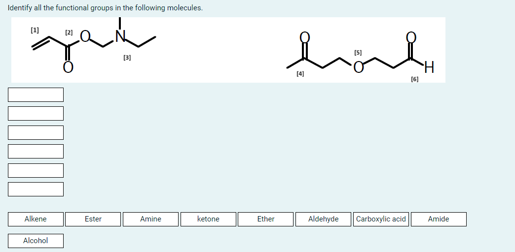 Solved Identify all the functional groups in the following | Chegg.com