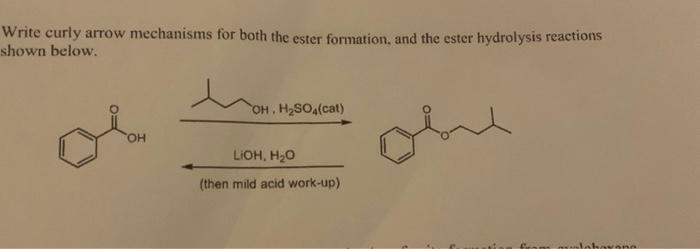Solved Nrite curly arrow mechanisms for both the ester | Chegg.com