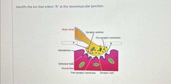 student submitted image, transcription available below