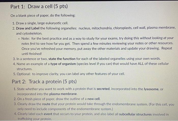 Solved Part 1: Draw a cell (5 pts) On a blank piece of | Chegg.com