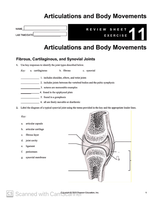 Articulations And Body Movements Name Lab Time Datel Chegg 