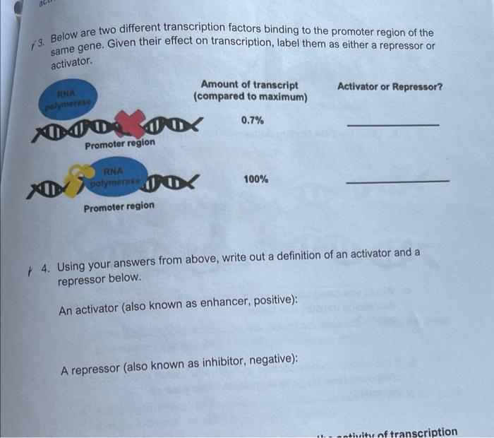 Solved ad 13. Below are two different transcription factors | Chegg.com