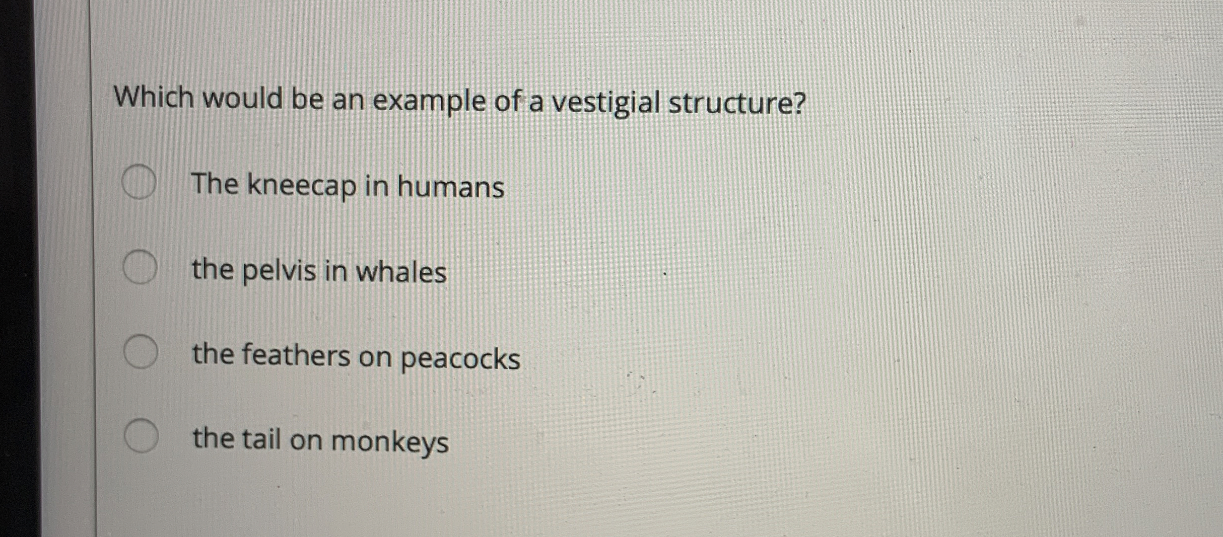 Solved Which would be an example of a vestigial | Chegg.com