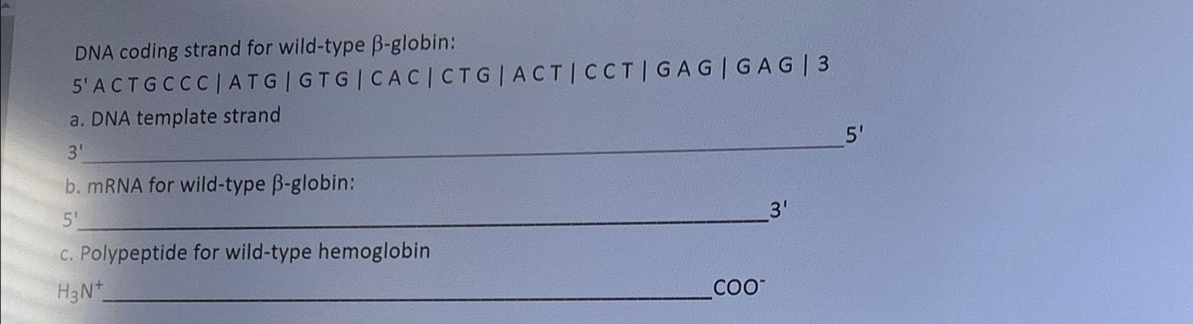 Solved DNA coding strand for wild-type β-globin: ﻿5'ACTGCCC | Chegg.com