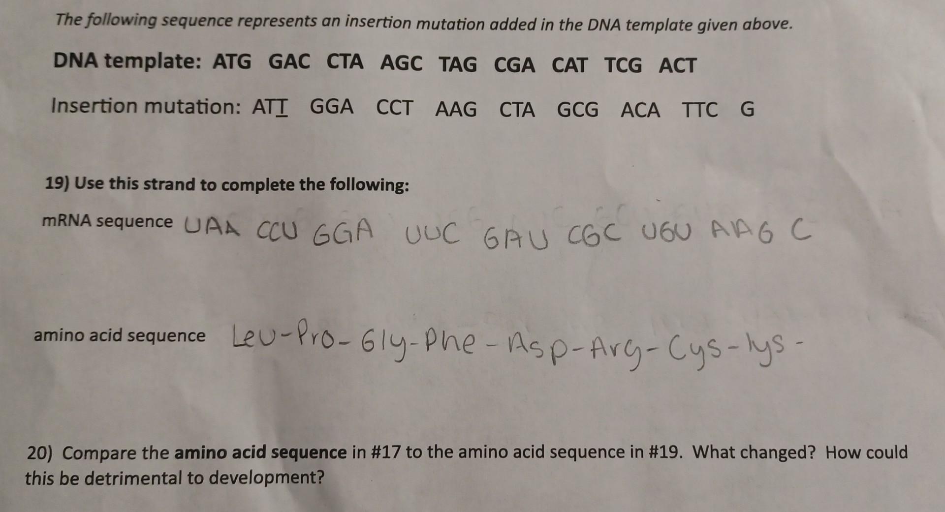 Solved 17) Complete the following using the given DNA | Chegg.com