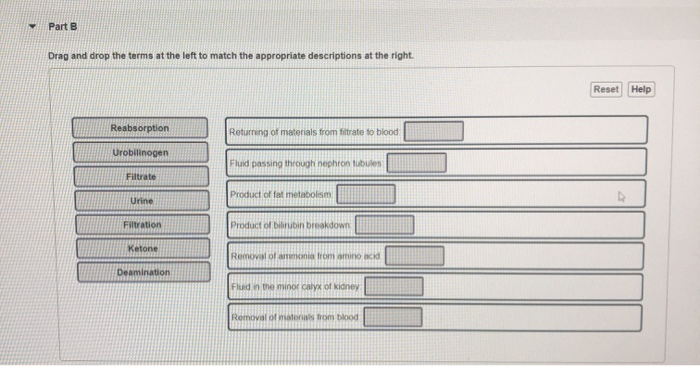 Solved Part B Drag And Drop The Terms At The Left To Match | Chegg.com