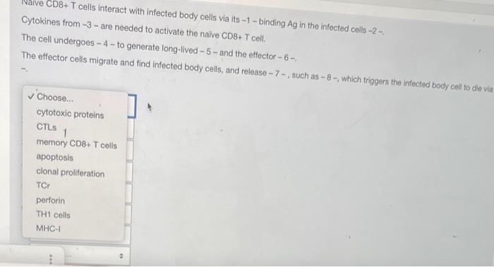 which cytokine is secreted by naïve cd8  t cells