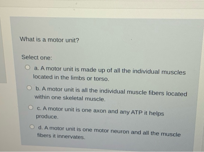 Solved What is a motor unit? Select one: O a. A motor unit | Chegg.com
