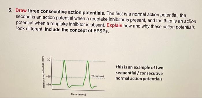 5. Draw three consecutive action potentials. The first is a normal action potential, the second is an action potential when a