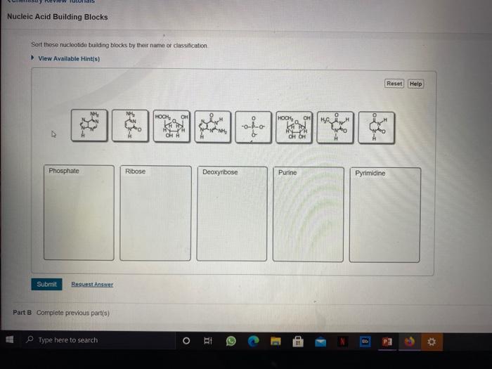 Solved US Nucleic Acid Building Blocks Sort these nucleotide | Chegg.com