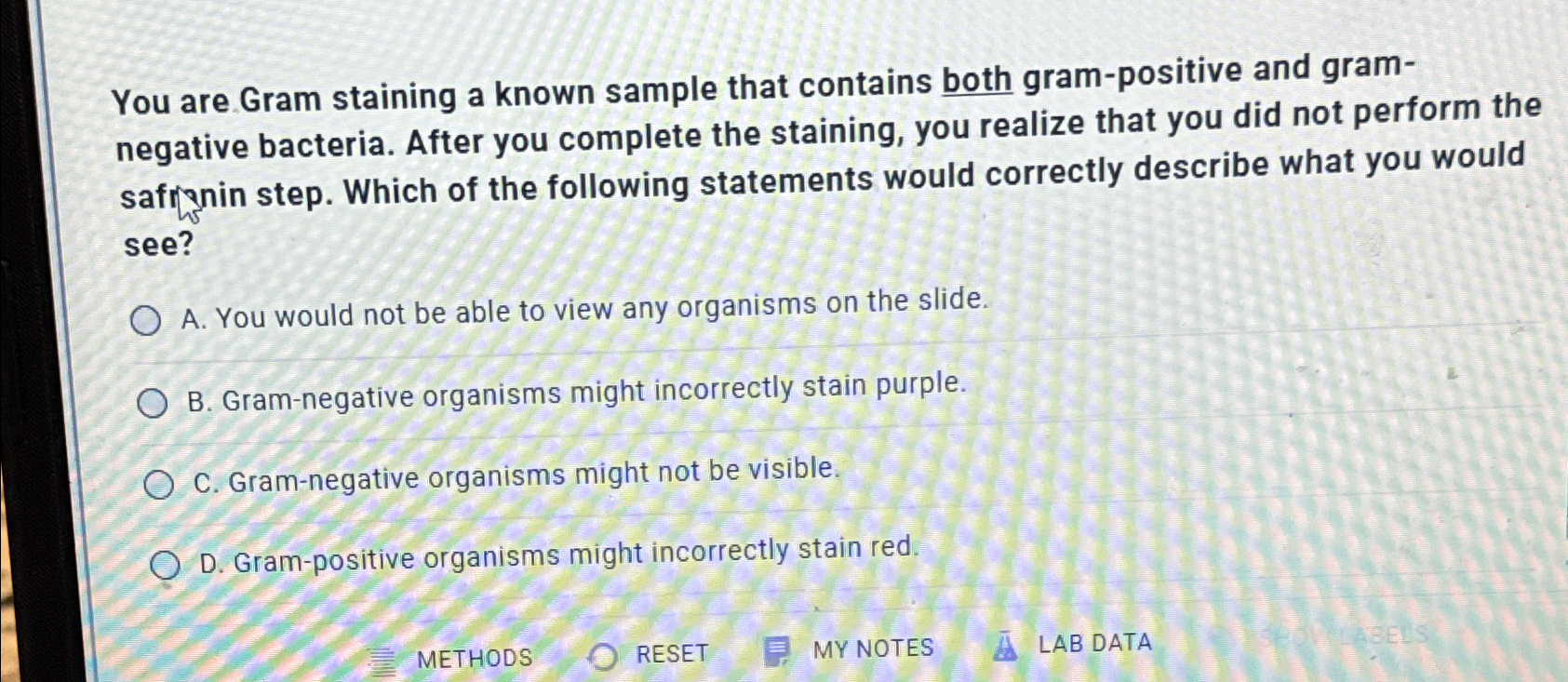 Solved You are Gram staining a known sample that contains | Chegg.com