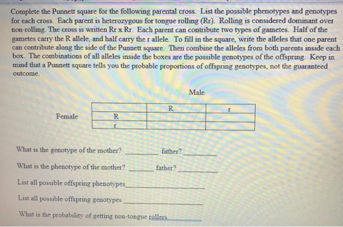Solved Complete the Punnett square for the following | Chegg.com