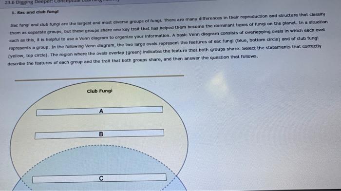 club fungi diagram