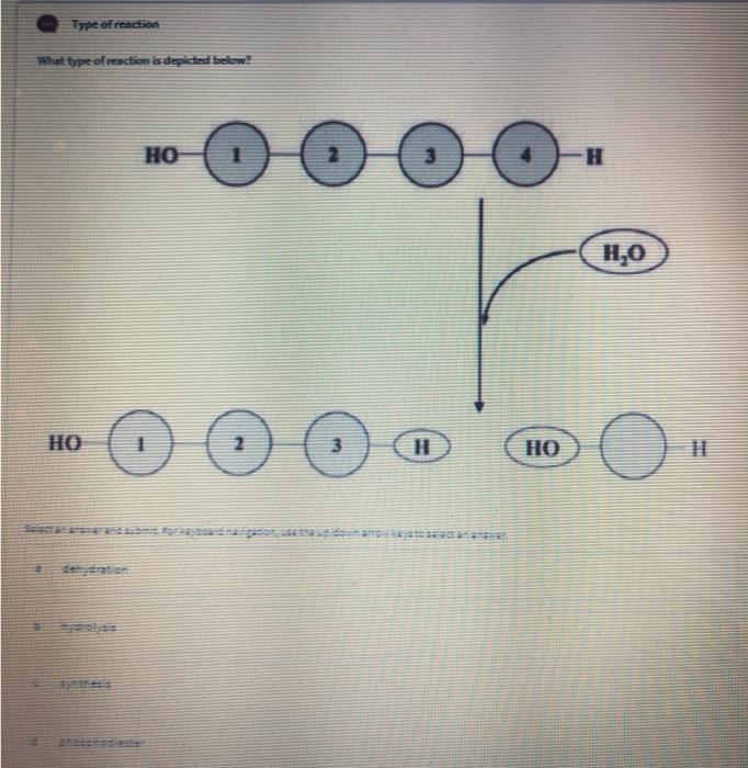 Solved Type of reaction What type of reaction is depicted | Chegg.com