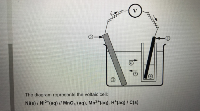 Solved V www 0 The diagram represents the voltaic cell: | Chegg.com