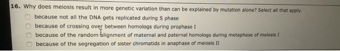 Solved 16. Why does meiosis result in more genetic variation | Chegg.com
