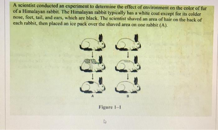 Solved A scientist conducted an experiment to determine the | Chegg.com