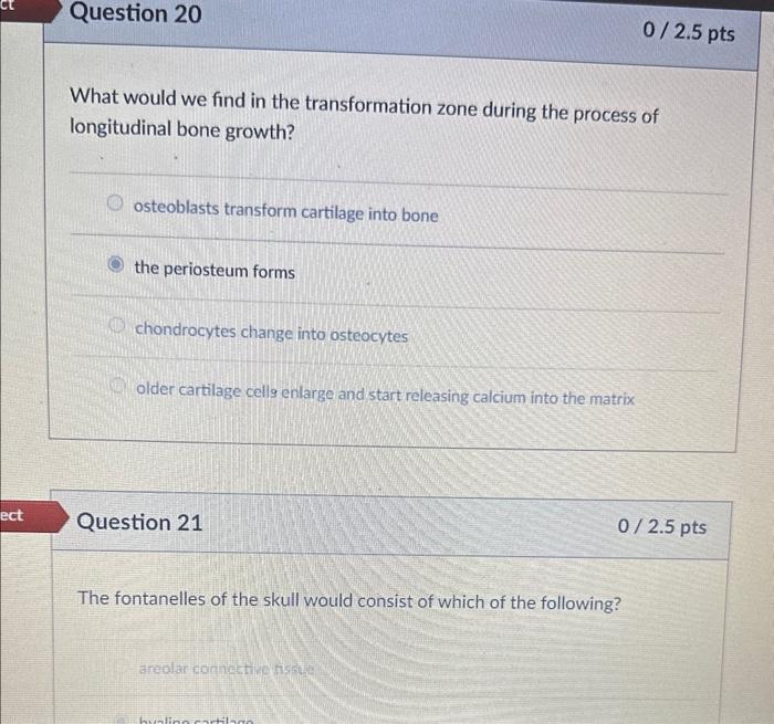 Solved What would we find in the transformation zone during | Chegg.com