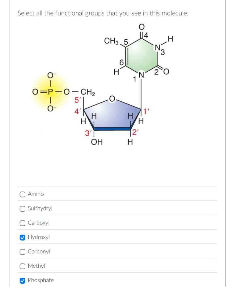 Solved Select all the functional groups that you see in this | Chegg.com