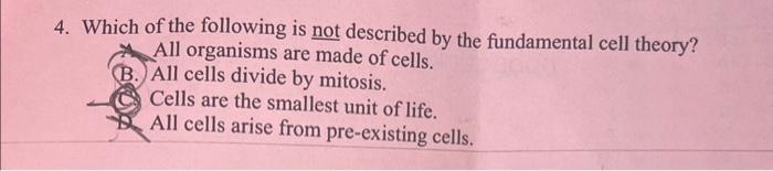 which of the following is not made up of cells