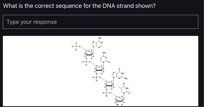 What is the correct sequence for the DNA strand | Chegg.com
