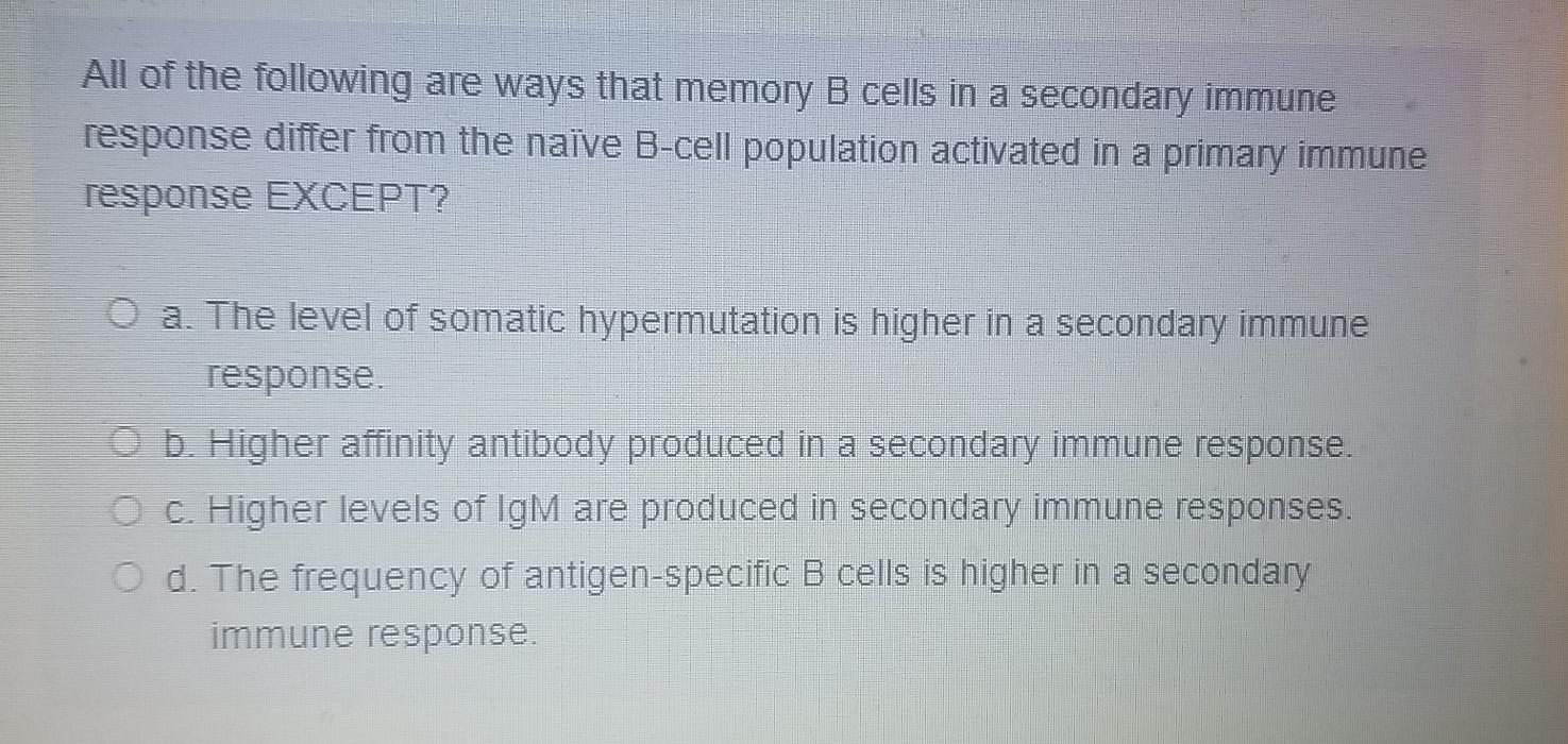 Solved All Of The Following Are Ways That Memory B Cells In | Chegg.com