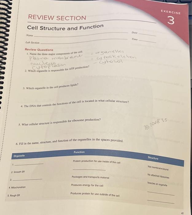 Solved EXERCISE REVIEW SECTION 3 Cell Structure and Function | Chegg.com