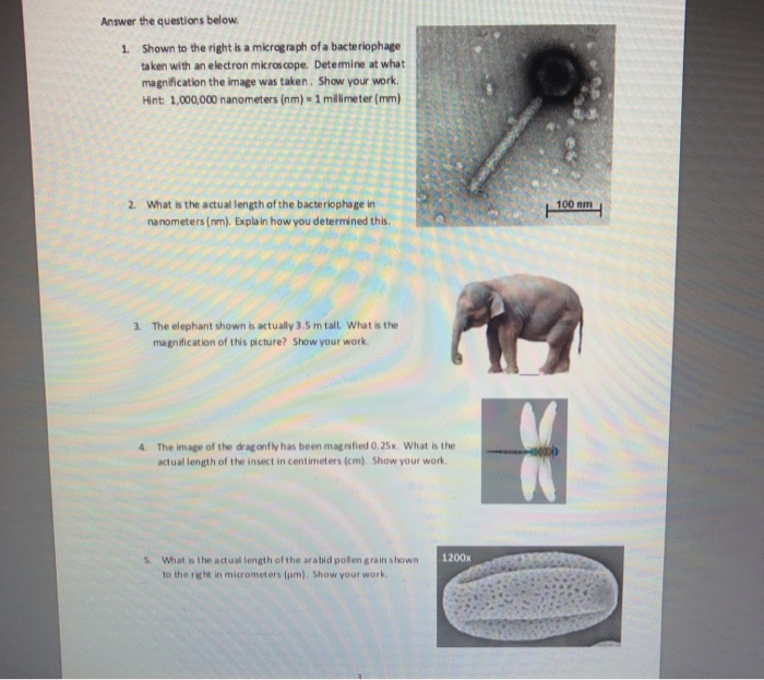 Solved Answer The Questions Below. 1. Shown To The Right Is | Chegg.com