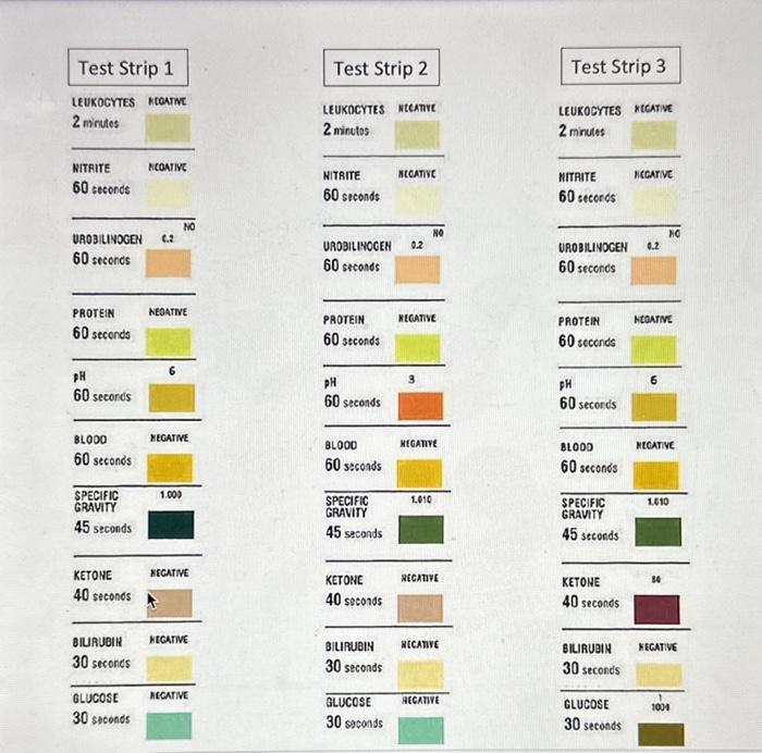 Test Strip 4 Test Strip 5 LEUKOCYTES R ROATNE 2 | Chegg.com