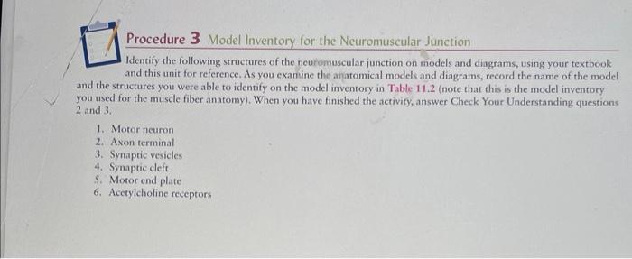 Procedure 3 Model Inventory for the Neuromuscular Junction
Identify the following structures of the neuromuscular junction on