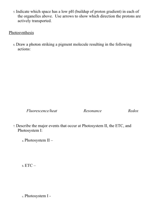 solved-comparison-of-respiration-and-photosynthesis-compare-chegg