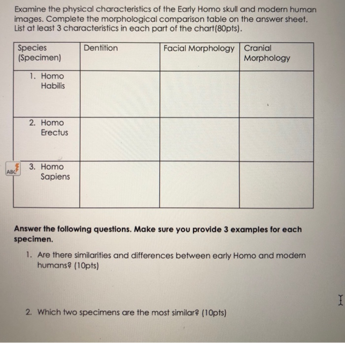 Solved Examine The Physical Characteristics Of The Early Chegg Com