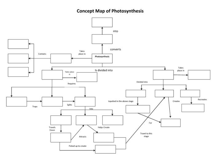 Solved Concept Map Of Photosynthesis Photosynthesis Is Chegg Com   Image