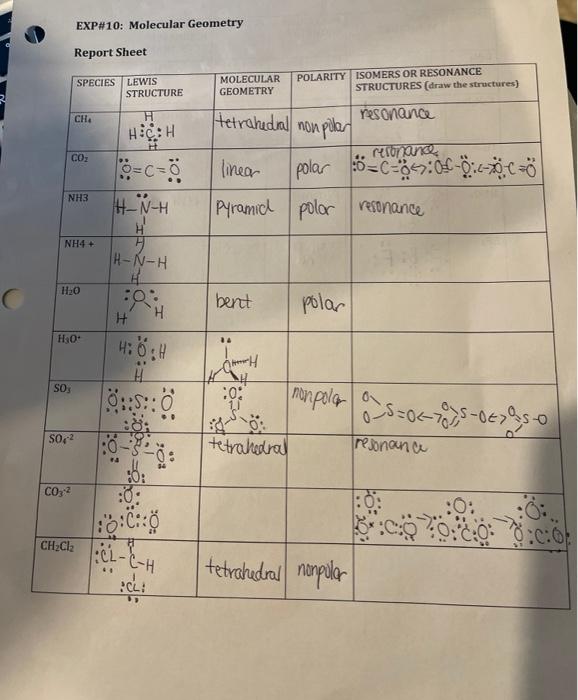 Exp 10 Molecular Geometry Report Sheet Species Lewis Chegg 