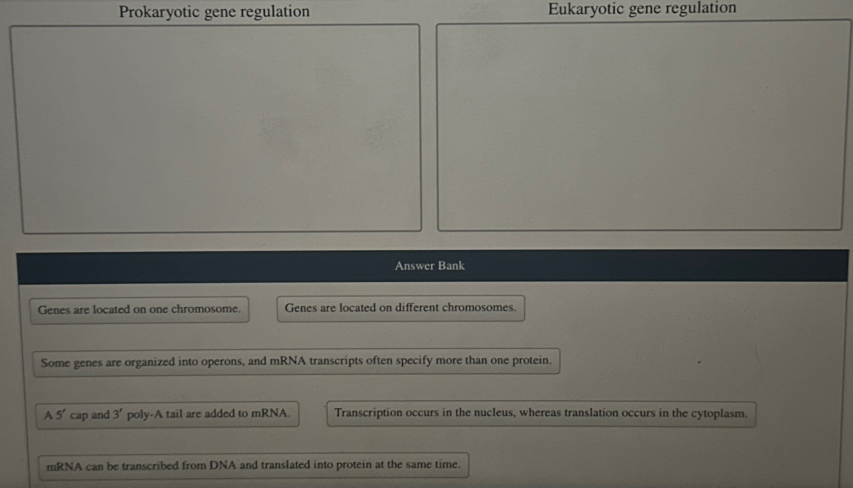 Solved Prokaryotic gene regulationEukaryotic gene | Chegg.com