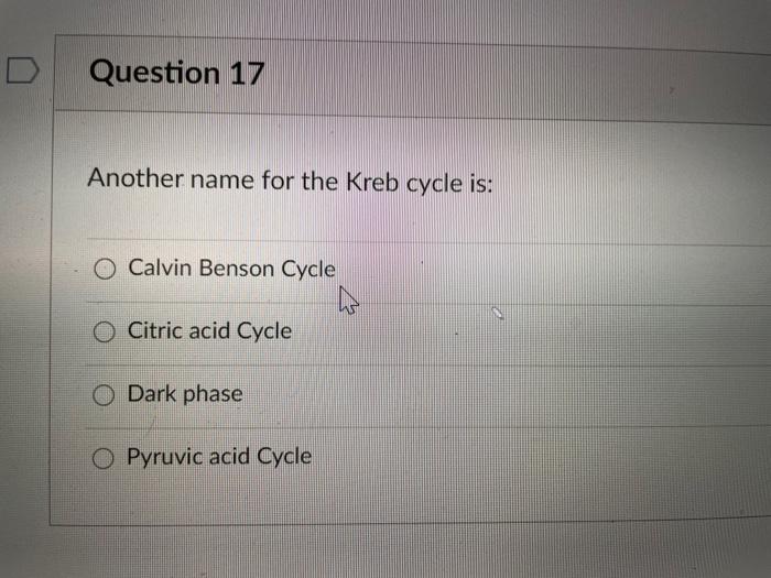 Question 17 Another name for the Kreb cycle is: O Calvin Benson Cycle w O Citric acid Cycle Dark phase O Pyruvic acid Cycle