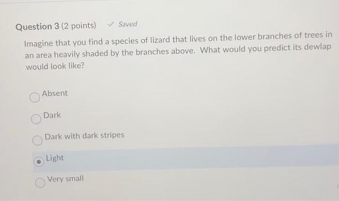 Solved In the video, the researchers introduced lizards to | Chegg.com