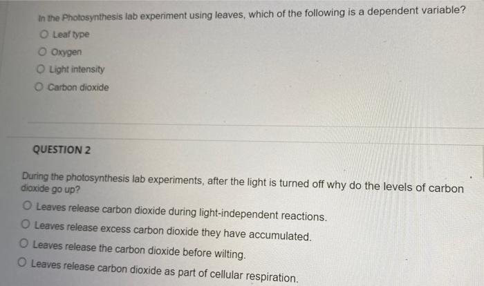 independent variable in photosynthesis experiment