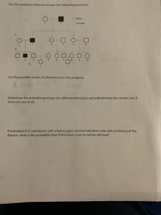 Solved Use the pedigree below to answer the following | Chegg.com