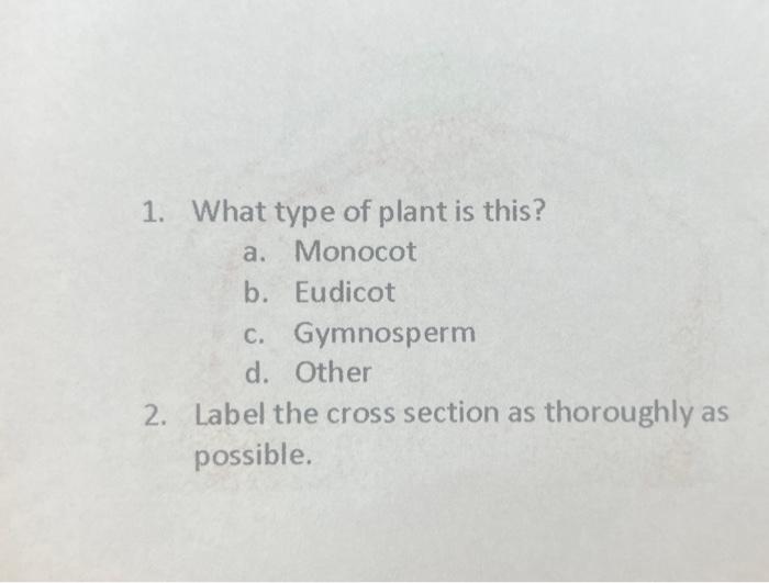 Solved 1. What type of plant is this? a. Monocot b. | Chegg.com