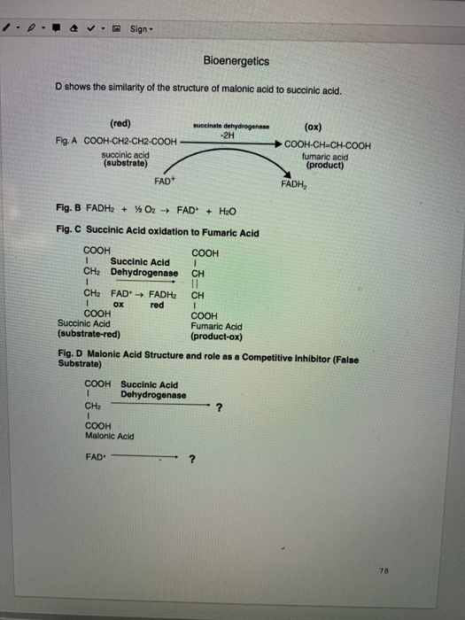 Why Did The Methylene Blue Become Colorless First At 